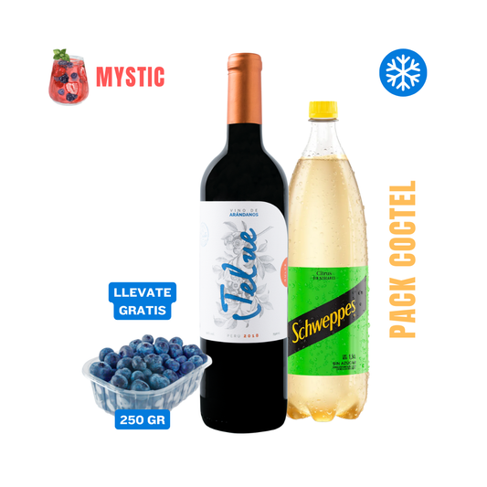 Pack Coctel (Vino de Arándanos y Ginger Ale)
