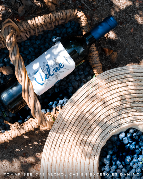 Vino de Arándanos Semiseco x 750ml