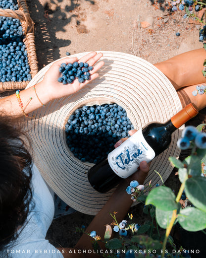 Vino de Arándanos Dulce x 750ml