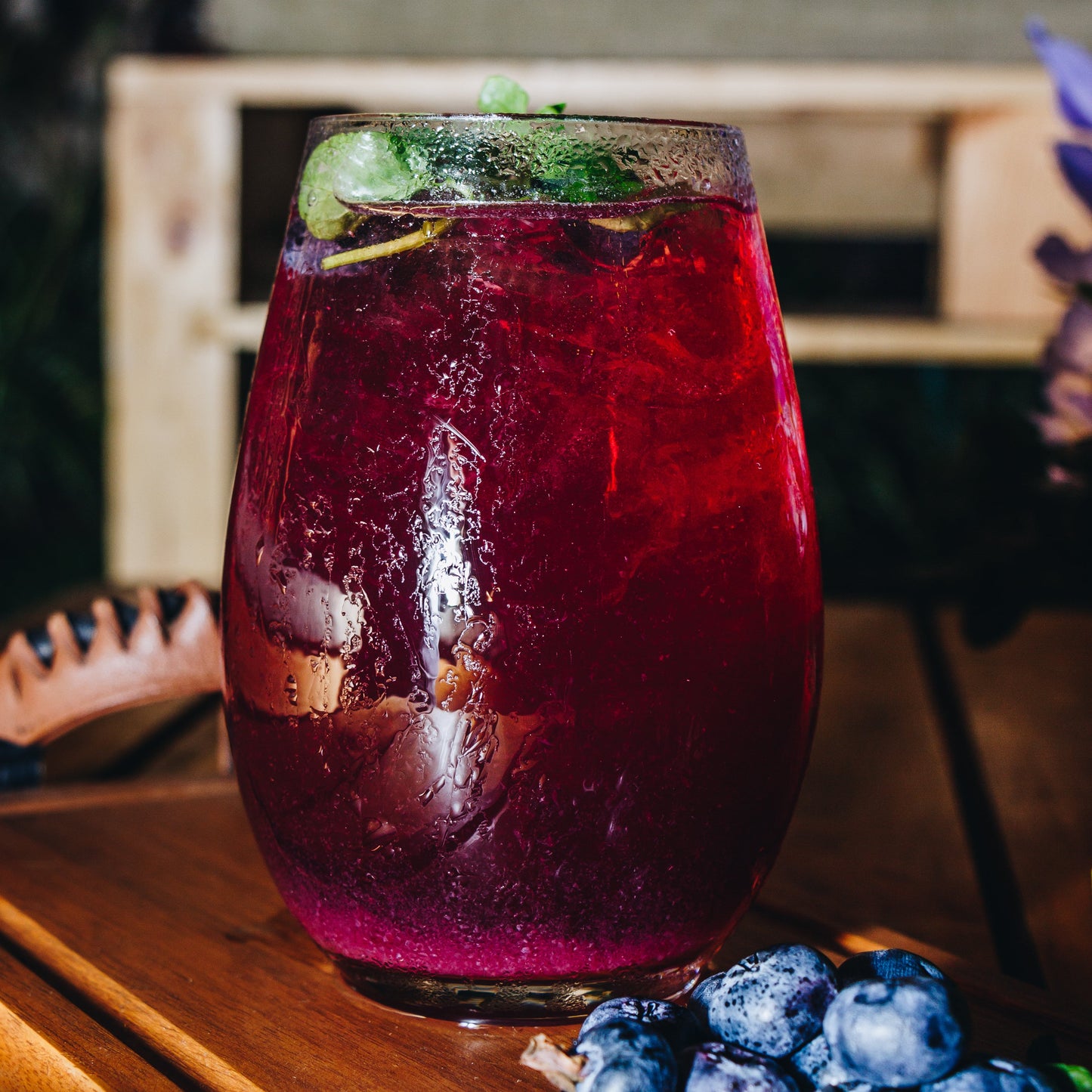 Pack Coctel (Vino de Arándanos y Ginger Ale)